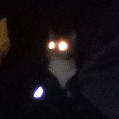 I'm feeling a little silly