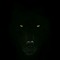 Wolf Dark
