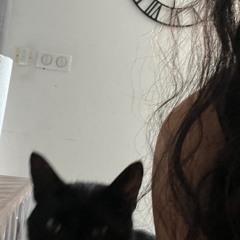 awesomecat2011