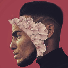 Eliam fesero