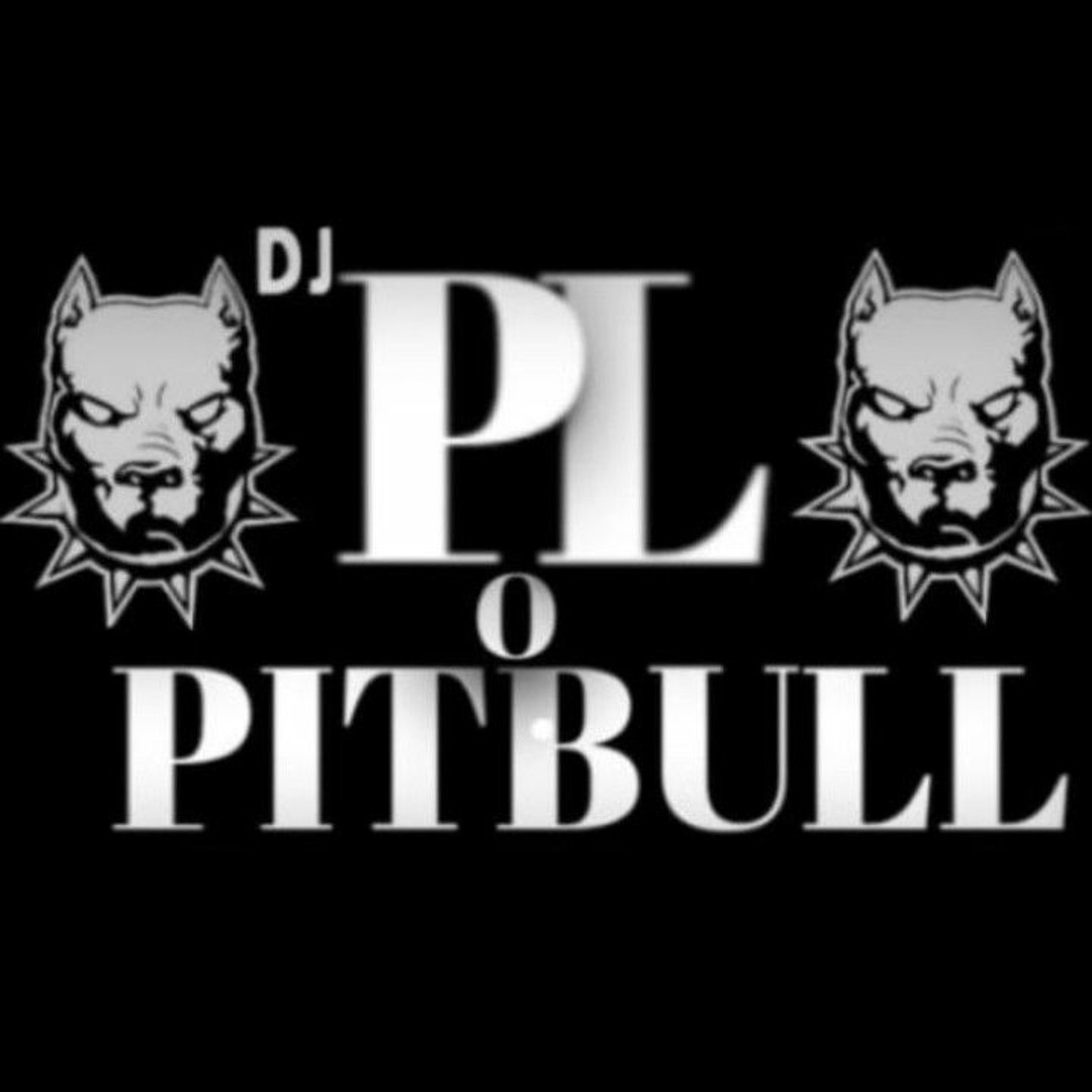 🔥DJ PL O PITBULL🔥’s avatar