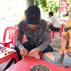 Thư codai420QN