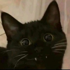 GoogaDaShmoova