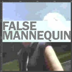 False Mannequin