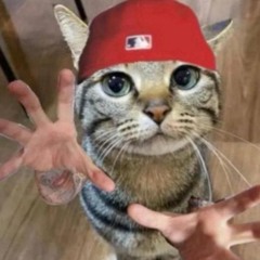 d0t