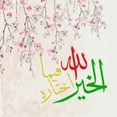 السيف المصري