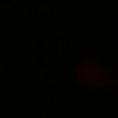 Areeba Javed