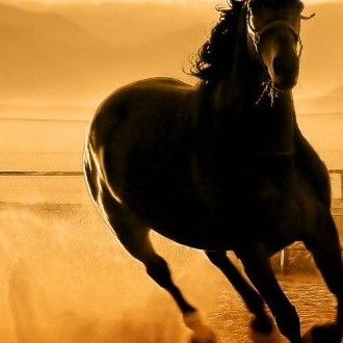 منوعات سودانية