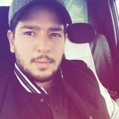 Hamza Stiifleur Landolsi