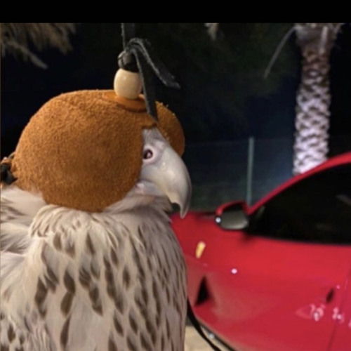 سطى حبك بقلبي - سلطان البريكي