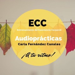 ECC Carla Fernández Canales