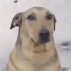 Elyyye