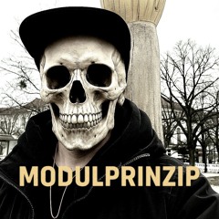 modulprinzip