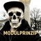 modulprinzip