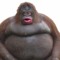 MONKE