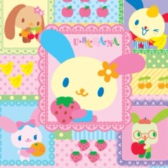 Clover ! ! ! ✧☆♡