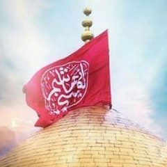 آمنہ شیخ