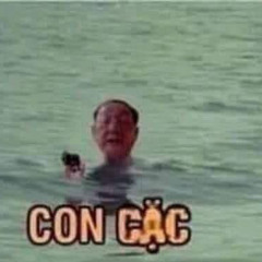 Tong Quoc.