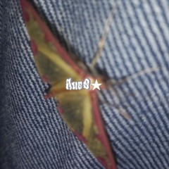 Aue9★