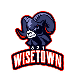 Wisetown Records