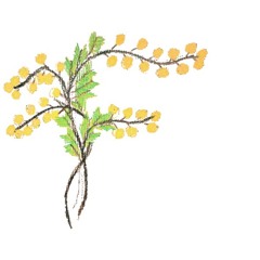 Gravestones [Assorted Drone Memories]