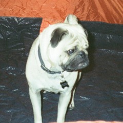 ELECTRIC CHAIR RADIO