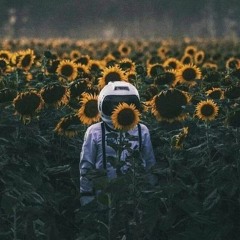 وائل الفشني  استويت