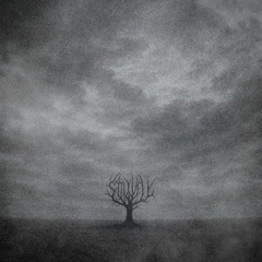 stillveil