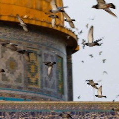 يقين أشرف