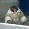 Monkeman42069EDP445