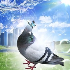 какая разница