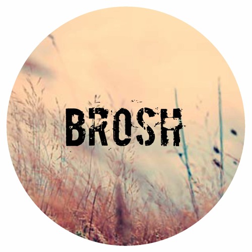 brosh’s avatar