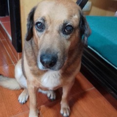 Juan Pablo Ramos Alzate