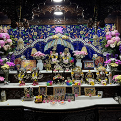 Nilesh patel