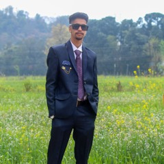 psychedelic Mehra🍄