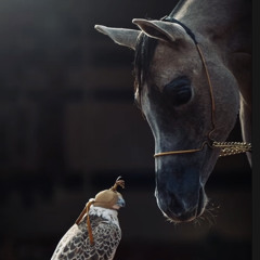 𝐀𝐋𝐈🐎