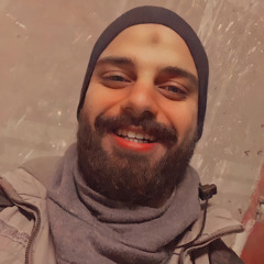 Mohamed Salah El-deen 1