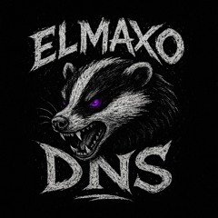 ElMaxo DNS
