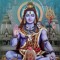 Robin Sharda