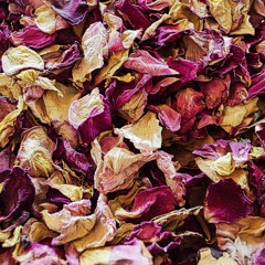 8431x in the Ivorytower