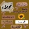 Noga Yehya