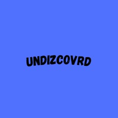 UNDIZCOVRD