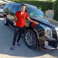 السيد الفاوي