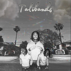 Talibands