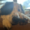 edog woodman34