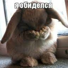 KvEasyX