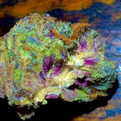 xHashpappy420x