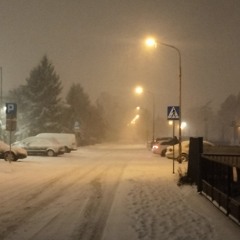 🥀BØBR | 최상의 ❤️‍🩹