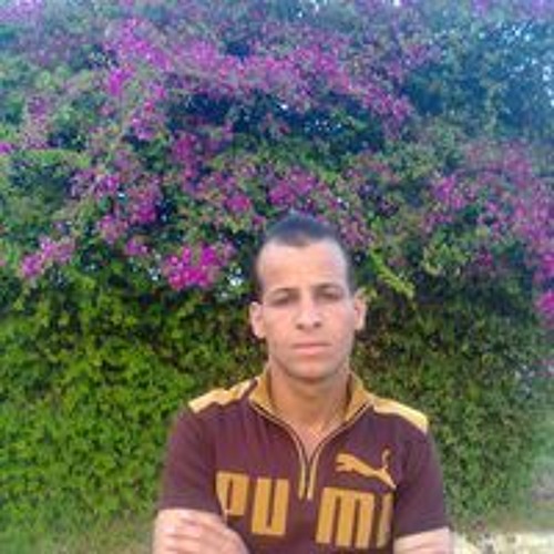 عمر عبدالجواد’s avatar