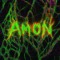 Amon